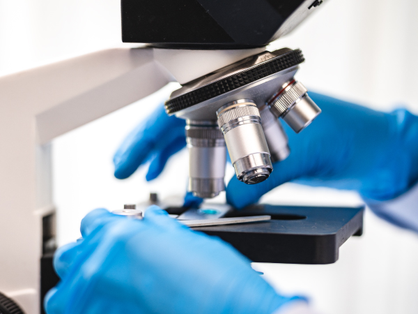 Inmunohistoquímica - LABPAP