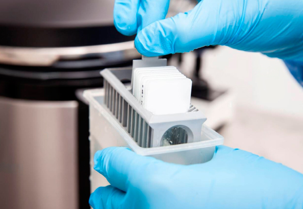 Inmunohistoquímica - LABPAP